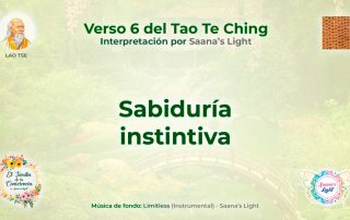ttk-6-mini-cover-saanas-light
