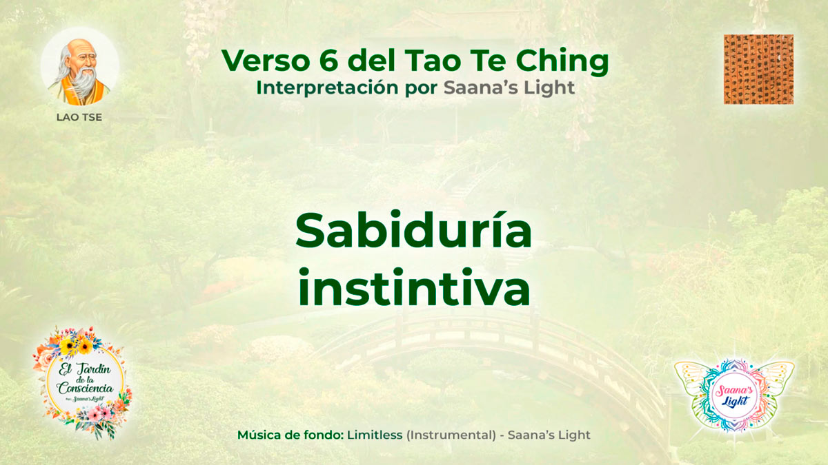 ttk-6-mini-cover-saanas-light