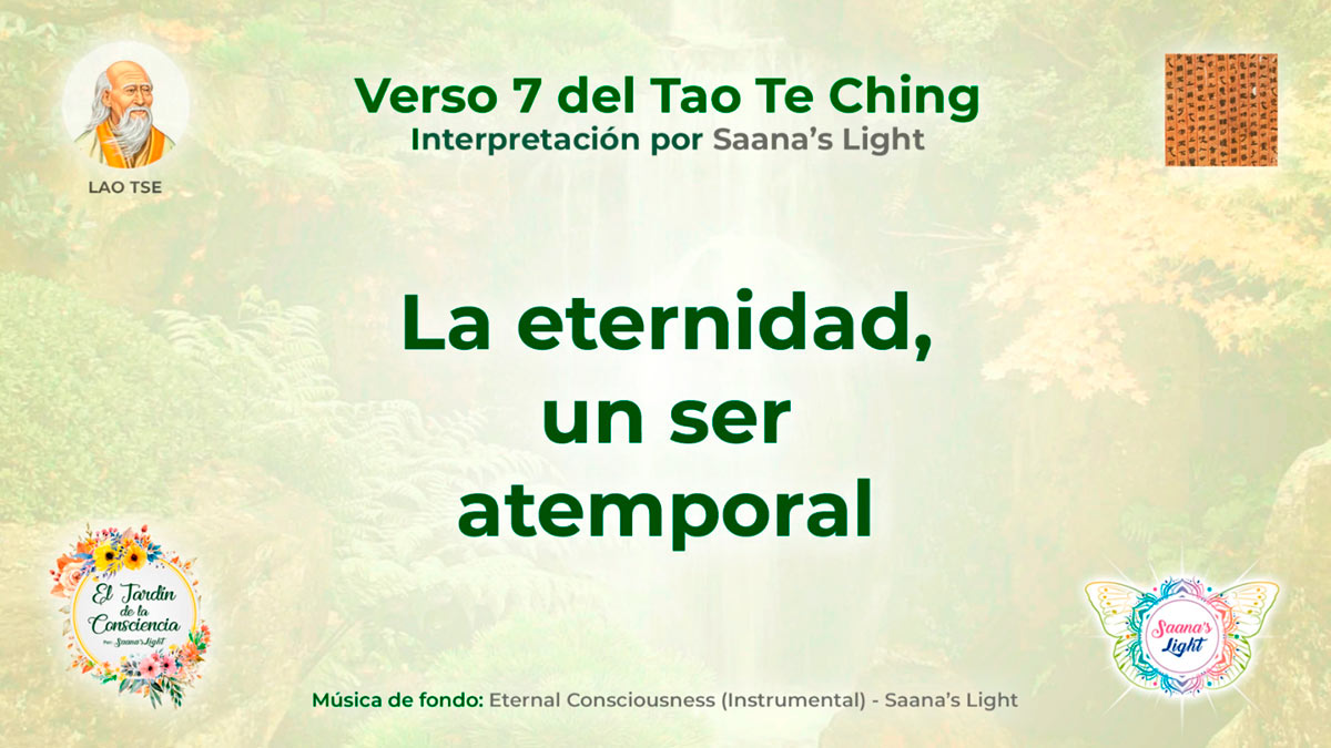 ttk-7-mini-cover-saanas-light