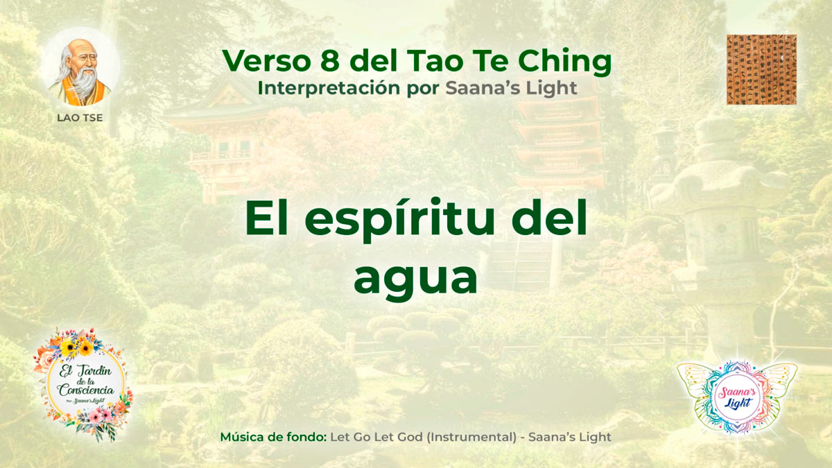 ttk-8-mini-cover-saanas-light