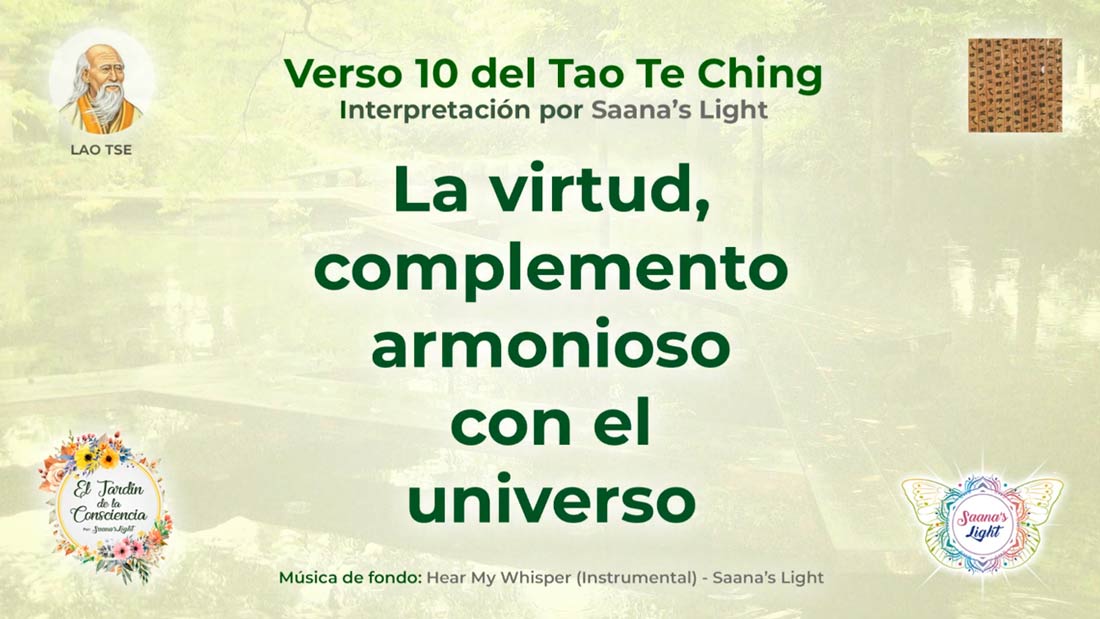 ttk-10-cover-saanas-light